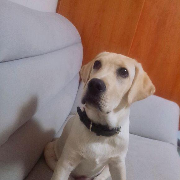 KY开元集团官网