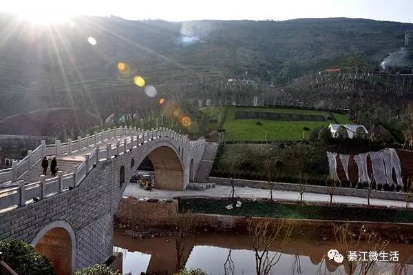 开元集团网站官网