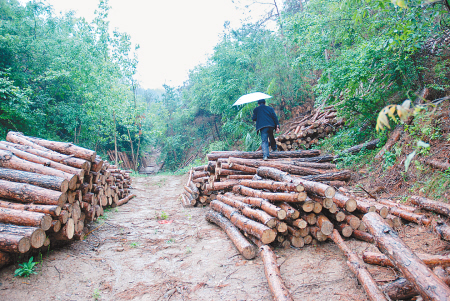 开元集团网站官网
