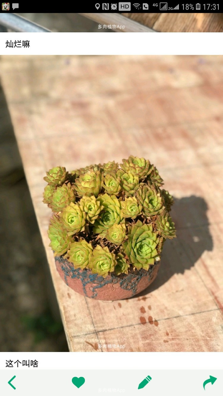 KY开元集团官网