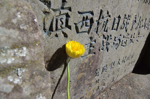 KY开元集团官网