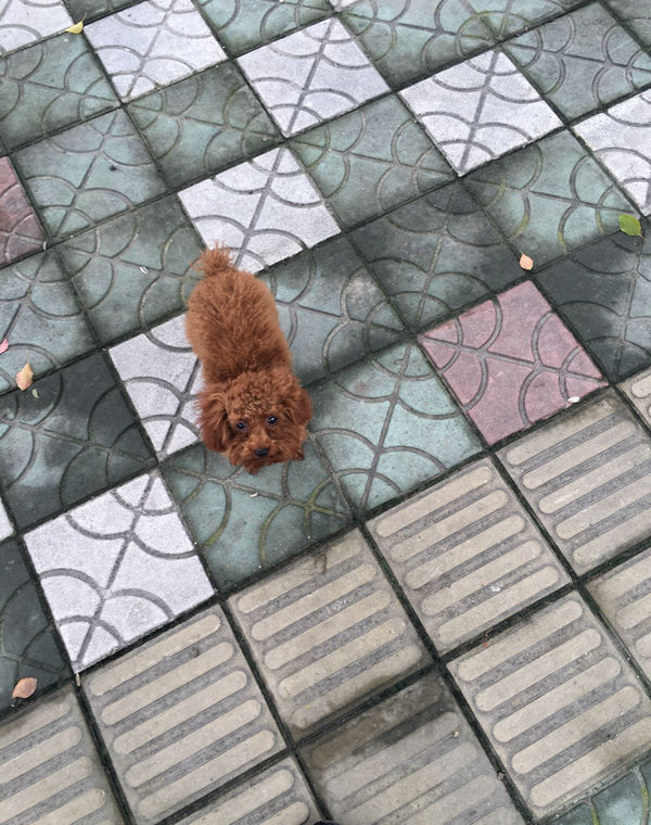 开元集团网站官网