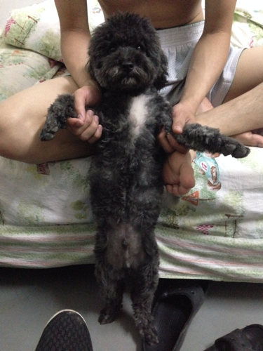 KY开元集团官网