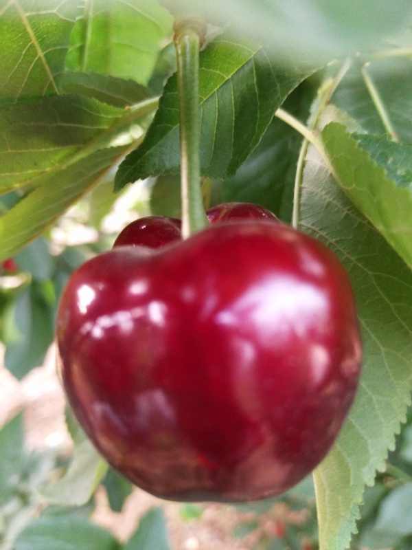 KY开元集团官网